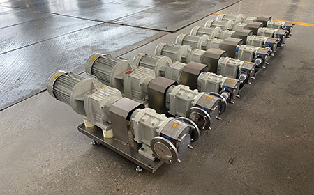 3RP Series Rotary Lobe Pump